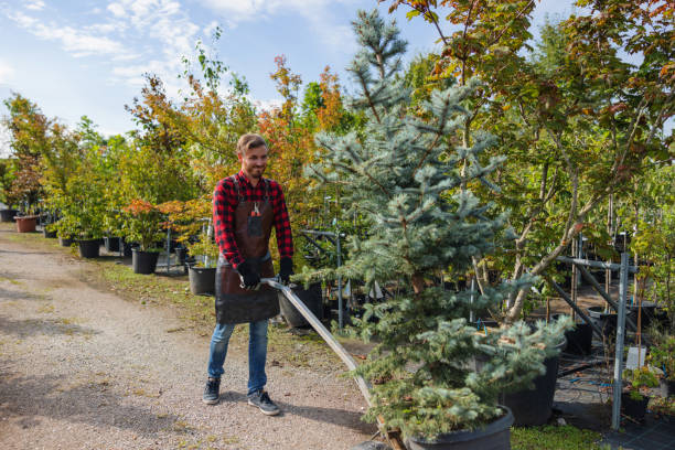 Best Tree and Shrub Care  in Dunnavant, AL