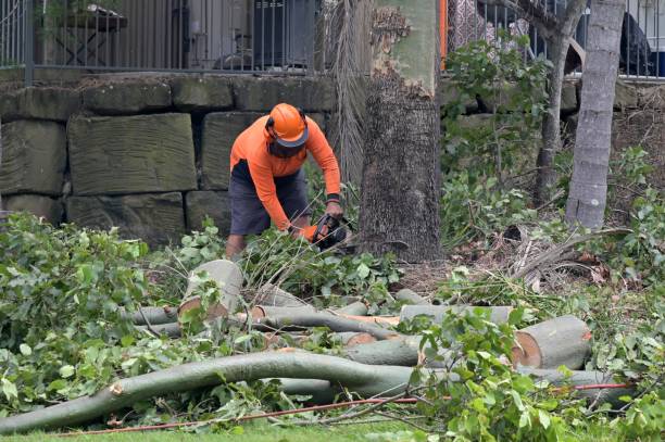 Best Emergency Tree Removal  in Dunnavant, AL